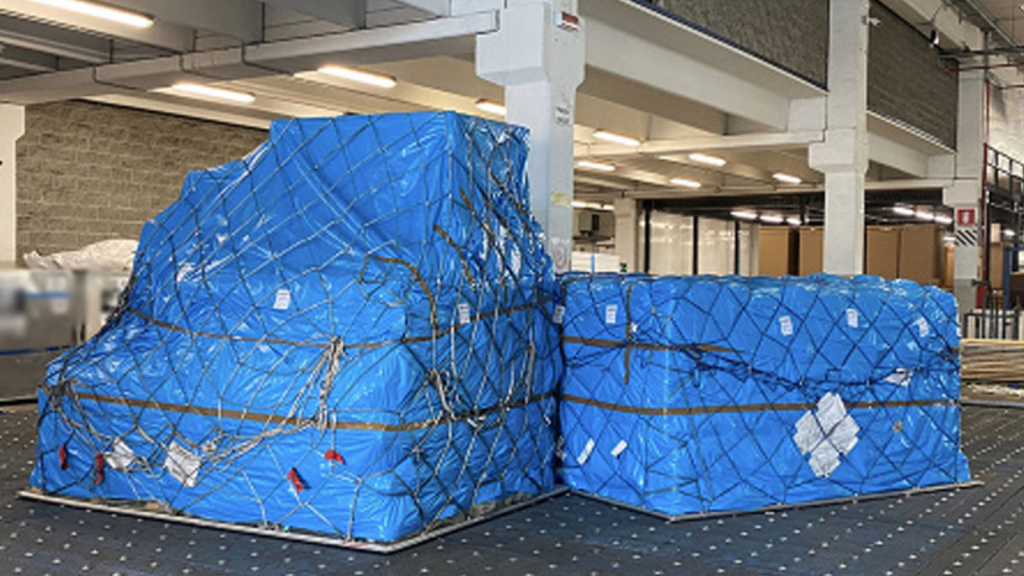 Zebra Case Study Image 1