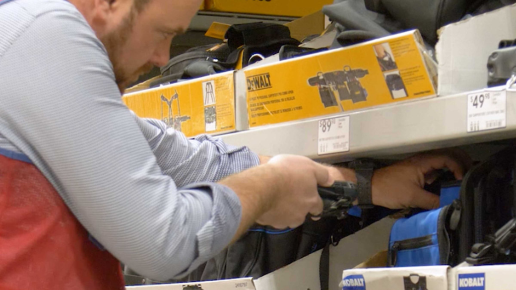 Zebra Case Study Image 2